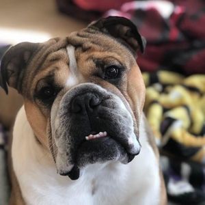 Meet your Posher, Nadia